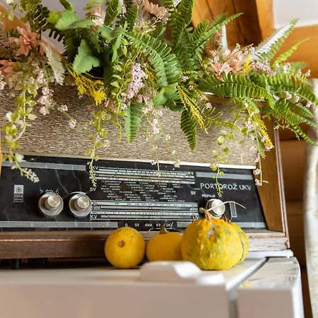 别墅 Kuca Dorine *