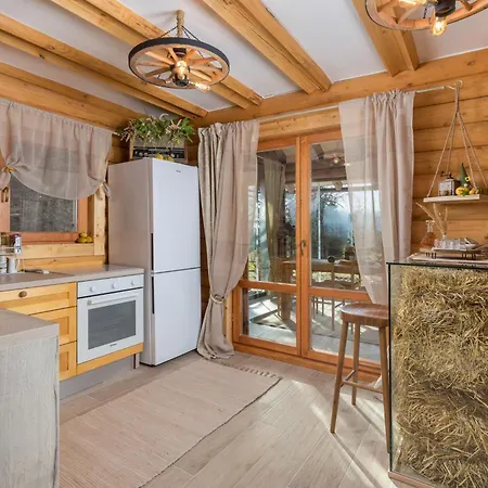 别墅 Kuca Dorine 弗济内